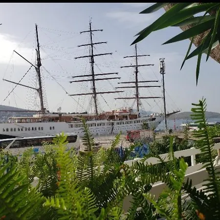 Fjora *